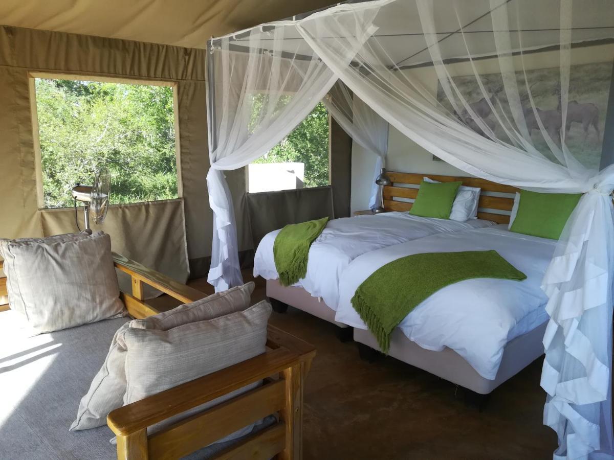 Honeyguide Tented Safari Camp - Khoka Moya Manyeleti Game Reserve Exterior foto