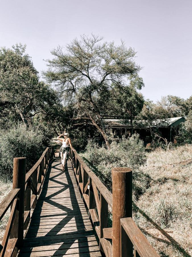 Honeyguide Tented Safari Camp - Khoka Moya Manyeleti Game Reserve Exterior foto